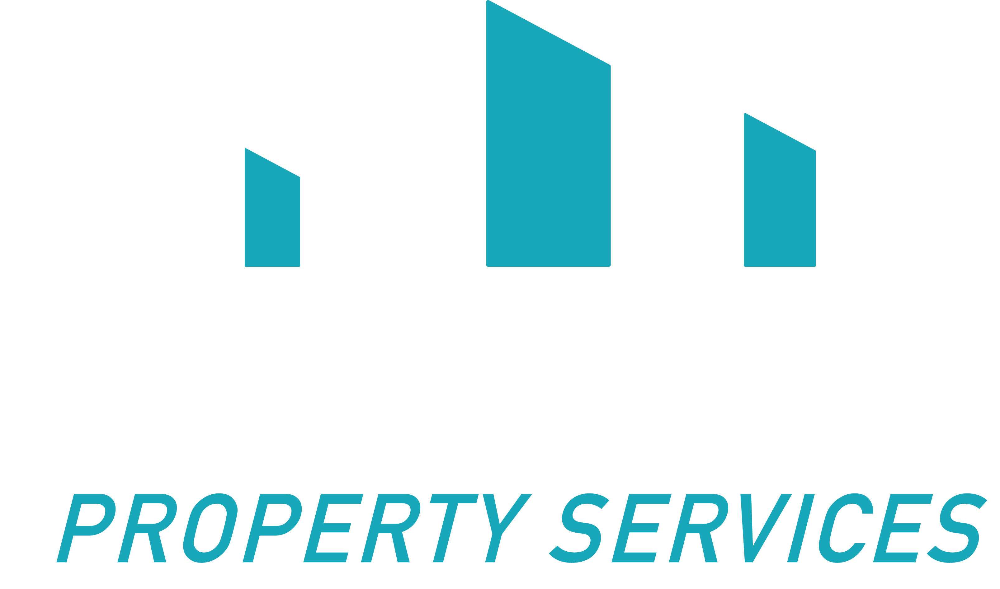 dark logo